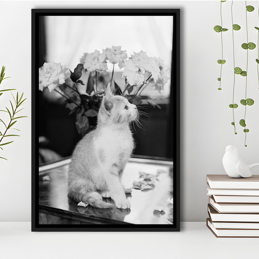 Cute Kitten Print Black and White Art Vintage Animal Photo, Floating Framed Canvas Print