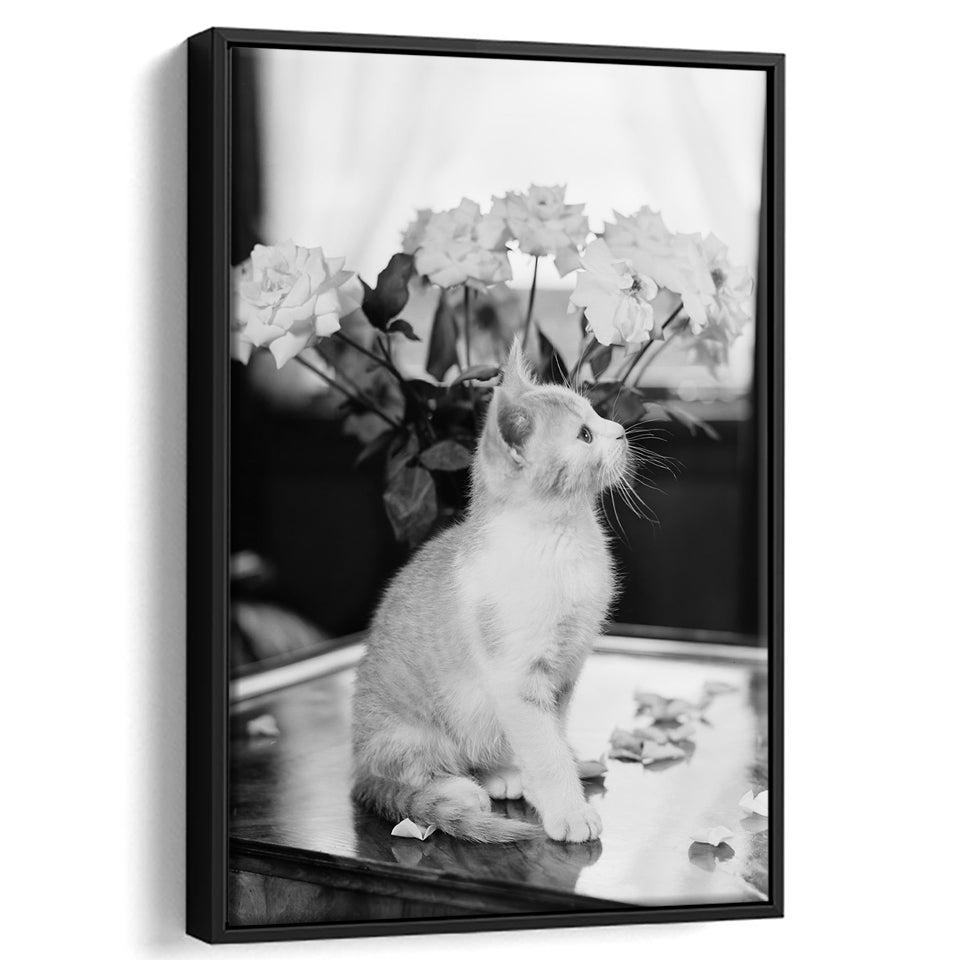 Cute Kitten Print Black and White Art Vintage Animal Photo, Floating Framed Canvas Print