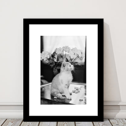 Cute Kitten Print Black and White Art Vintage Animal Photo, Framed Art Print White Border Wall Decor