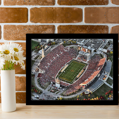 Cyclones Stadium, Stadium Canvas, Sport Art, Gift for him, Framed Art Print Wall Decor, Picture Framed
