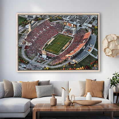 Cyclones Stadium, Stadium Canvas, Sport Art, Framed Canvas Print Wall Art, Floating Frame