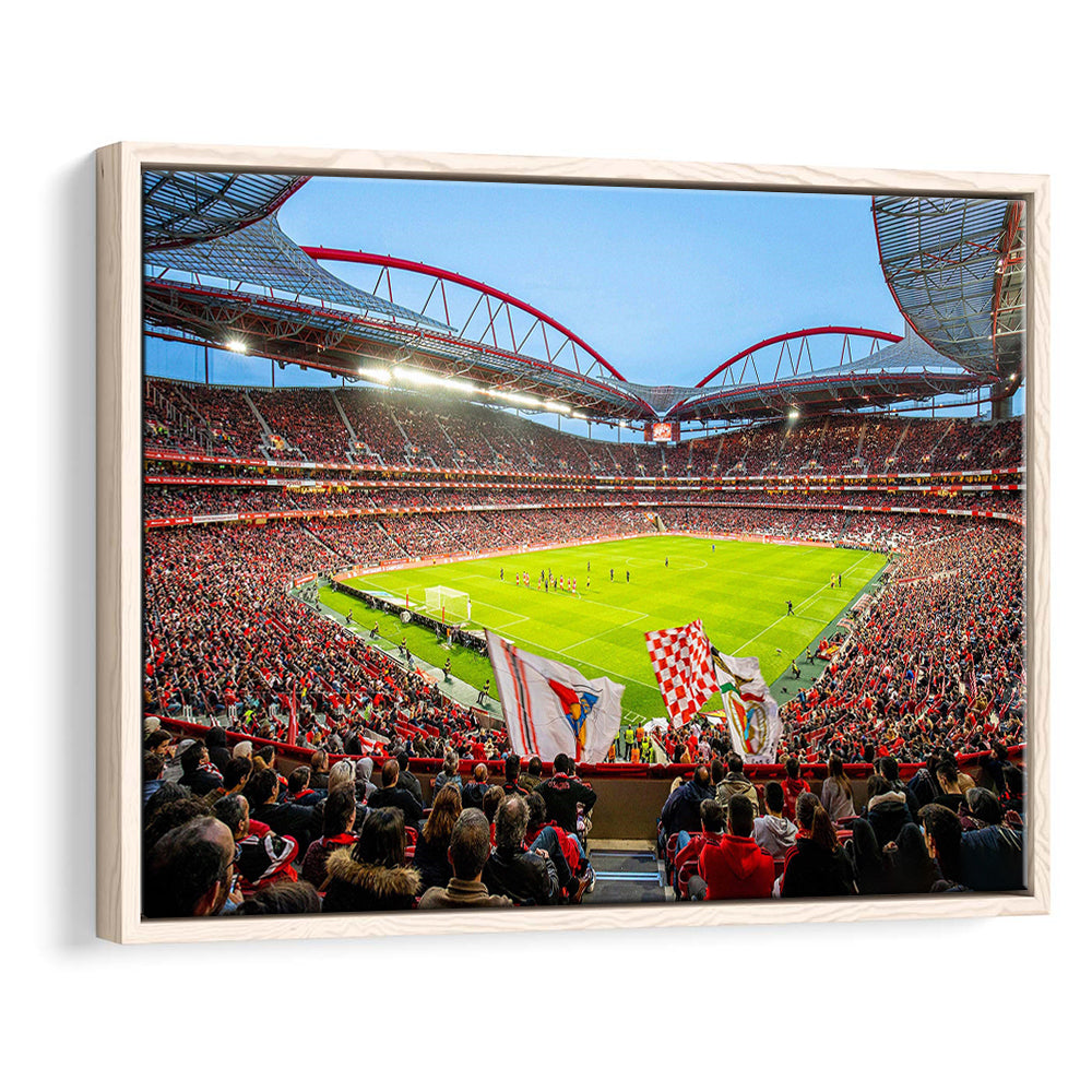 Da Luz Estadio, Stadium Canvas, Sport Art, Framed Canvas Print Wall Art, Floating Frame