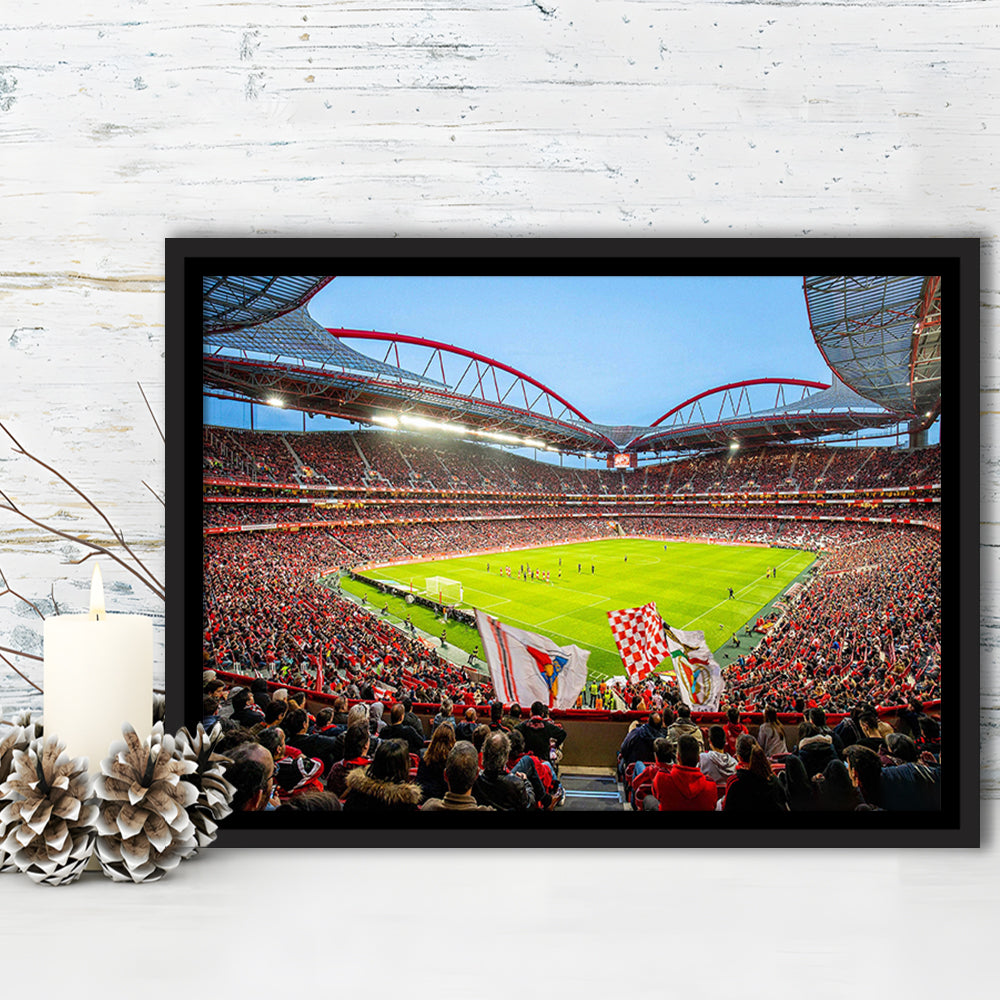 Da Luz Estadio, Stadium Canvas, Sport Art, Framed Canvas Print Wall Art, Floating Frame