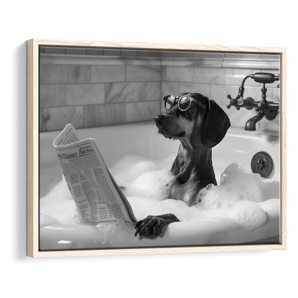 Dachshund in Bathtub Framed Canvas Print Wall Art, Dog Reading Newspaper in Bubble Bath Black and White, Bathroom Decor