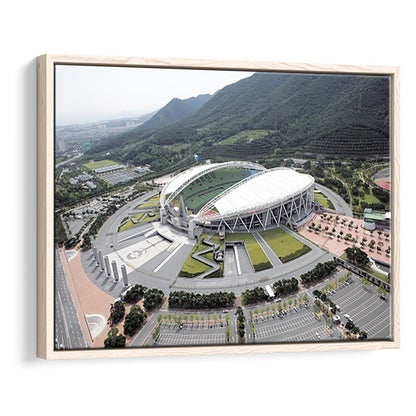 Daegu Stadium Aerial View, Stadium Canvas, Sport Art, Framed Canvas Print Wall Art, Floating Frame