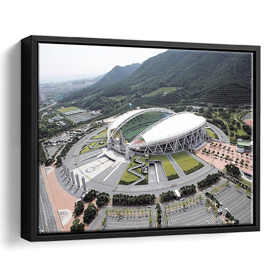 Daegu Stadium Aerial View, Stadium Canvas, Sport Art, Framed Canvas Print Wall Art, Floating Frame
