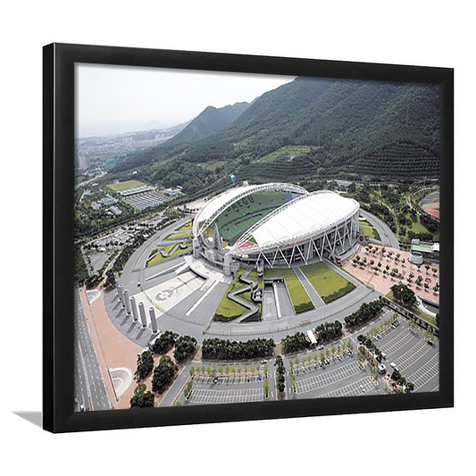 Daegu Stadium Aerial View, Stadium Canvas, Sport Art, Gift for him, Framed Art Print Wall Decor, Picture Framed