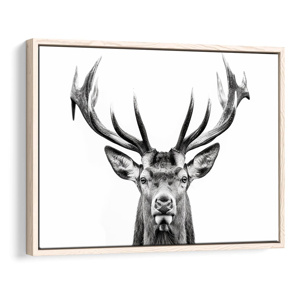 Deer Stag Head Black And White V2, Framed Canvas Painting, Framed Canvas Prints Wall Art Decor