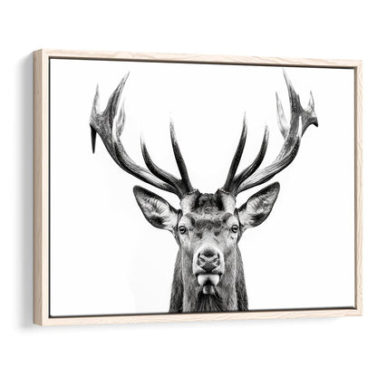 Deer Stag Head Black And White V2, Framed Canvas Painting, Framed Canvas Prints Wall Art Decor