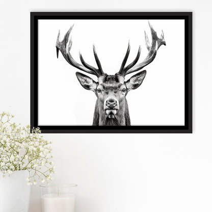 Deer Stag Head Black And White V2, Framed Canvas Painting, Framed Canvas Prints Wall Art Decor