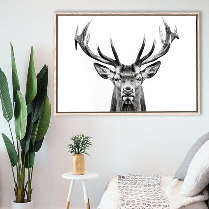 Deer Stag Head Black And White V2, Framed Canvas Painting, Framed Canvas Prints Wall Art Decor