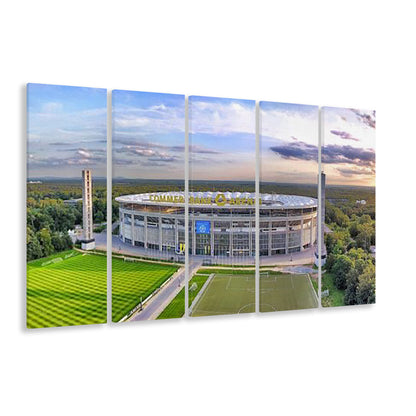 Deutsche Bank Park, Stadium Canvas, Sport Art, 5 Panel B, Extra Large Canvas, Canvas Print Wall Art