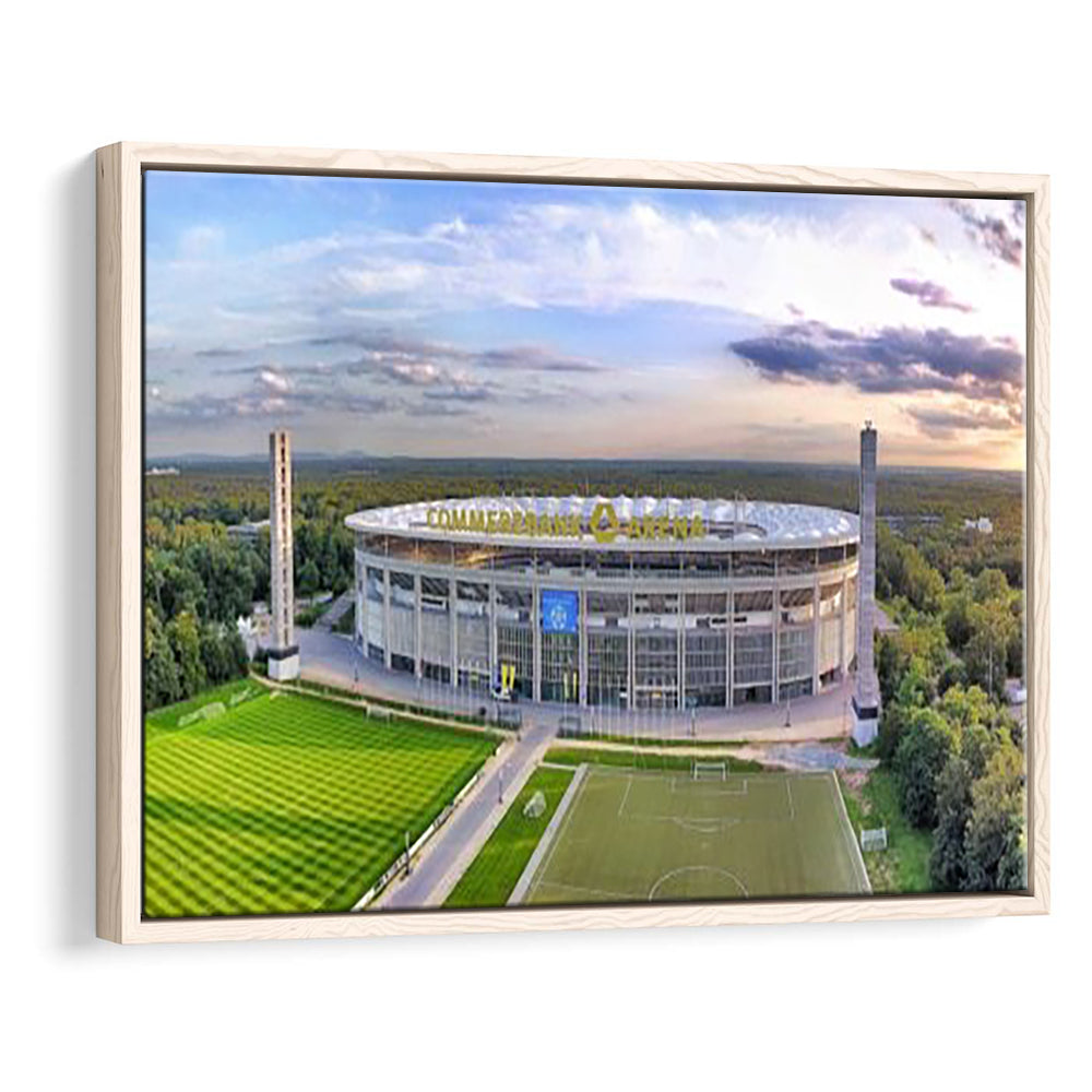 Deutsche Bank Park, Stadium Canvas, Sport Art, Framed Canvas Print Wall Art, Floating Frame