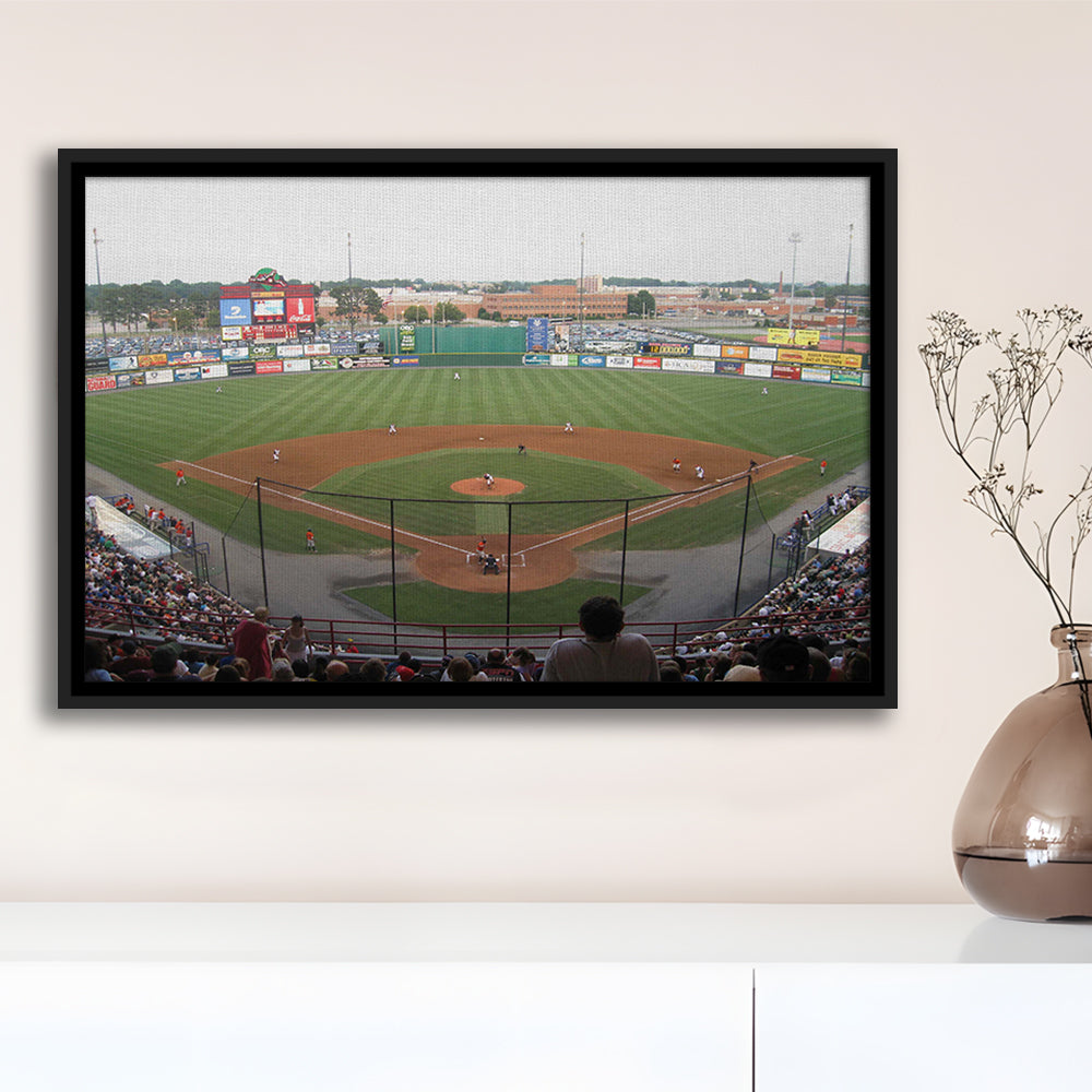 Diamond Stadium, Stadium Canvas, Sport Art, Framed Canvas Print Wall Art, Floating Frame