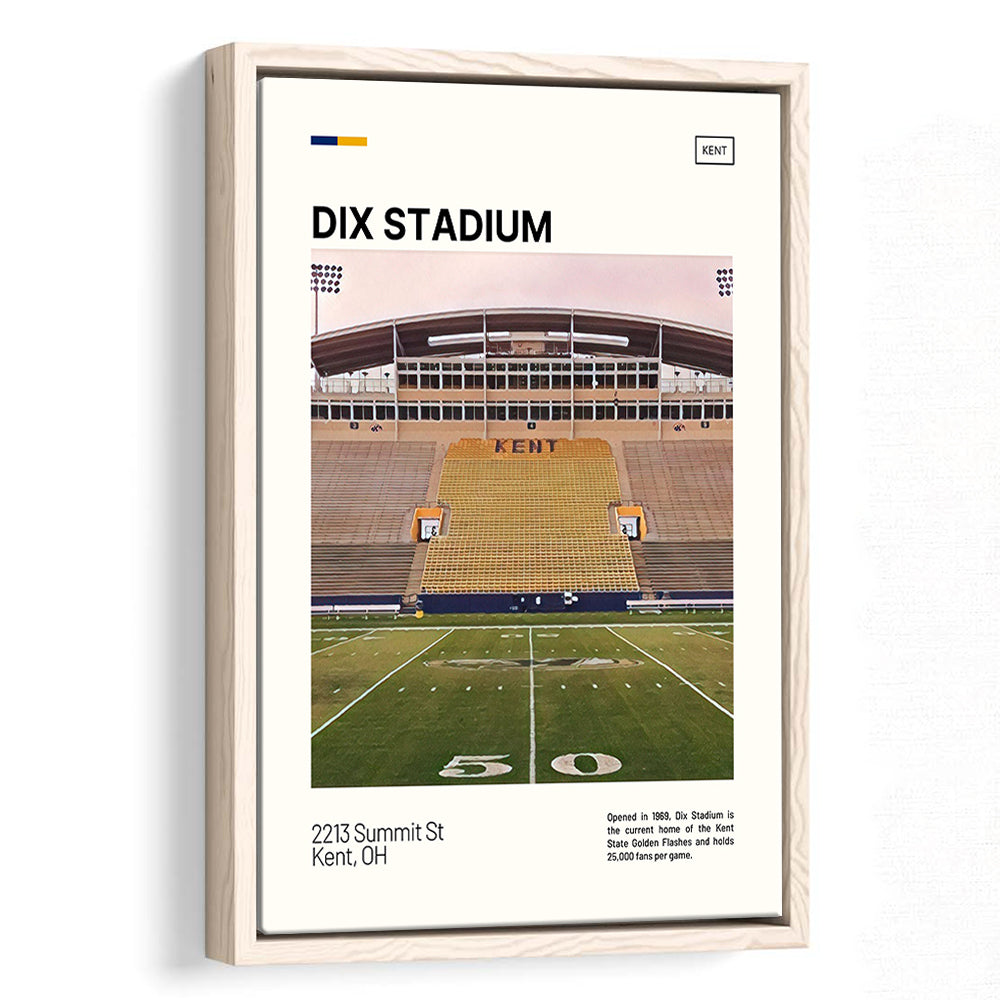Dix Stadium Print, Kent State Golden Flashes Stadium Canvas Art, Man Cave Gift, Floating Framed Canvas Print Wall Art