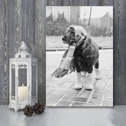 Dog Dressed for Winter Funny Vintage Animal Photo Black and White Art, Canvas Print Wall Art
