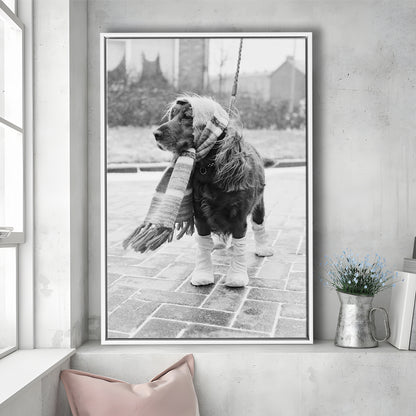 Dog Dressed for Winter Funny Vintage Animal Photo Black and White Art, Floating Framed Canvas Print