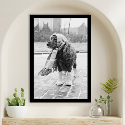 Dog Dressed for Winter Funny Vintage Animal Photo Black and White Art, Framed Art Print Wall Decor