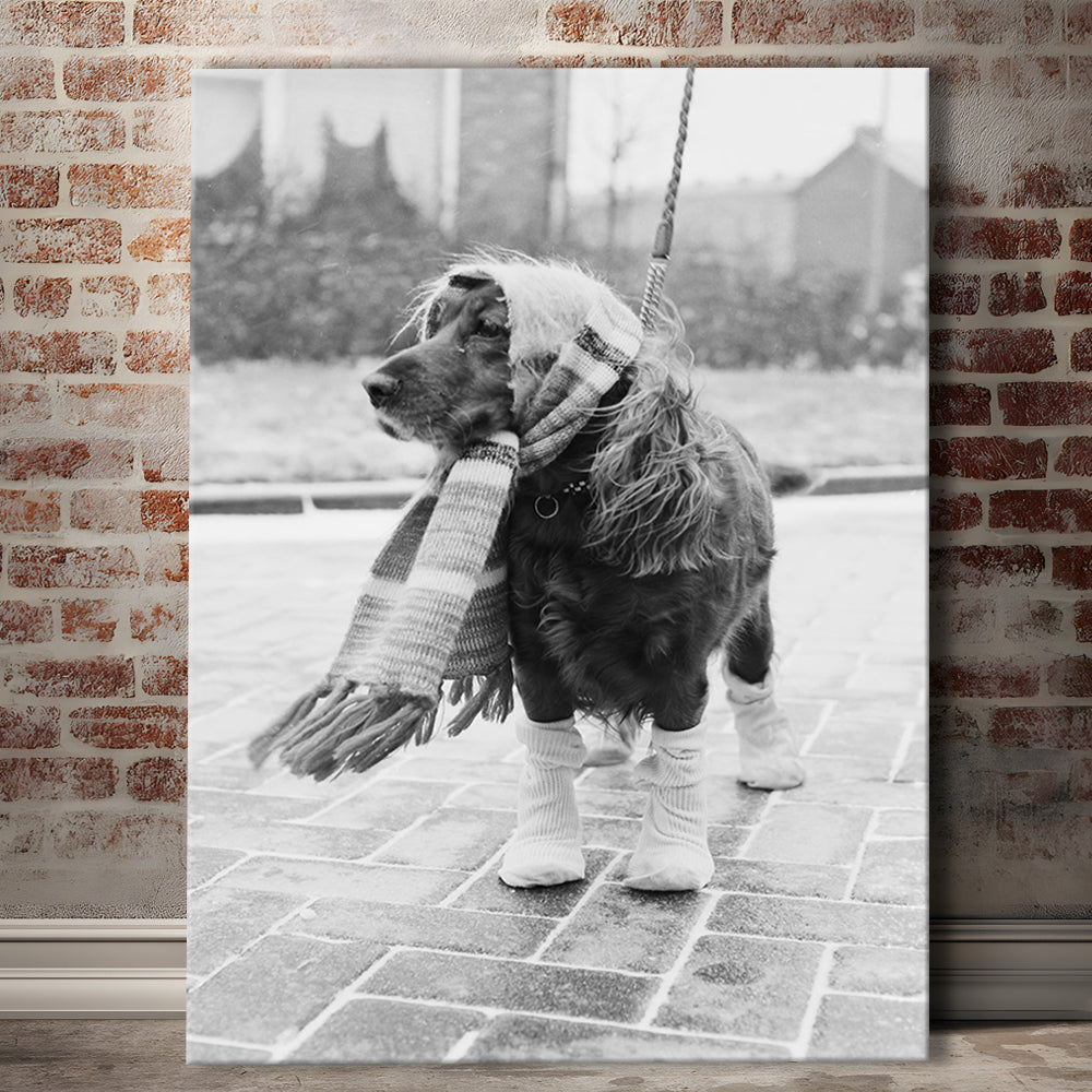 Dog Dressed for Winter Funny Vintage Animal Photo Black and White Art, Canvas Print Wall Art