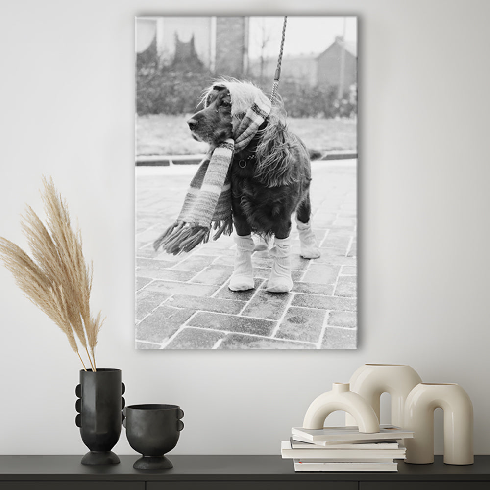 Dog Dressed for Winter Funny Vintage Animal Photo Black and White Art, Canvas Print Wall Art