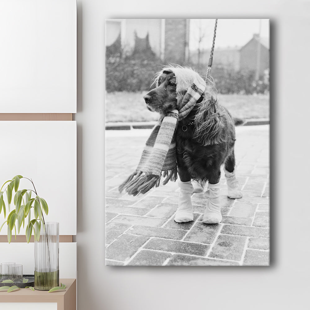 Dog Dressed for Winter Funny Vintage Animal Photo Black and White Art, Canvas Print Wall Art