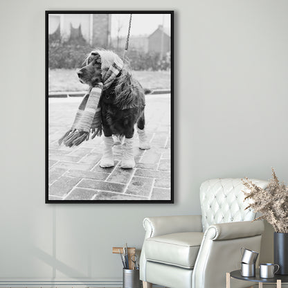 Dog Dressed for Winter Funny Vintage Animal Photo Black and White Art, Floating Framed Canvas Print