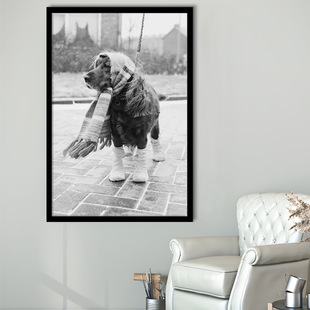 Dog Dressed for Winter Funny Vintage Animal Photo Black and White Art, Framed Art Print Wall Decor