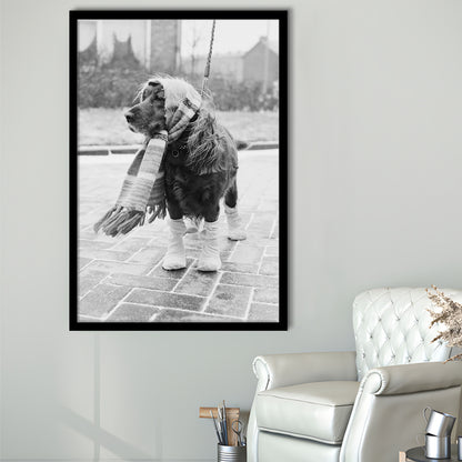 Dog Dressed for Winter Funny Vintage Animal Photo Black and White Art, Framed Art Print Wall Decor