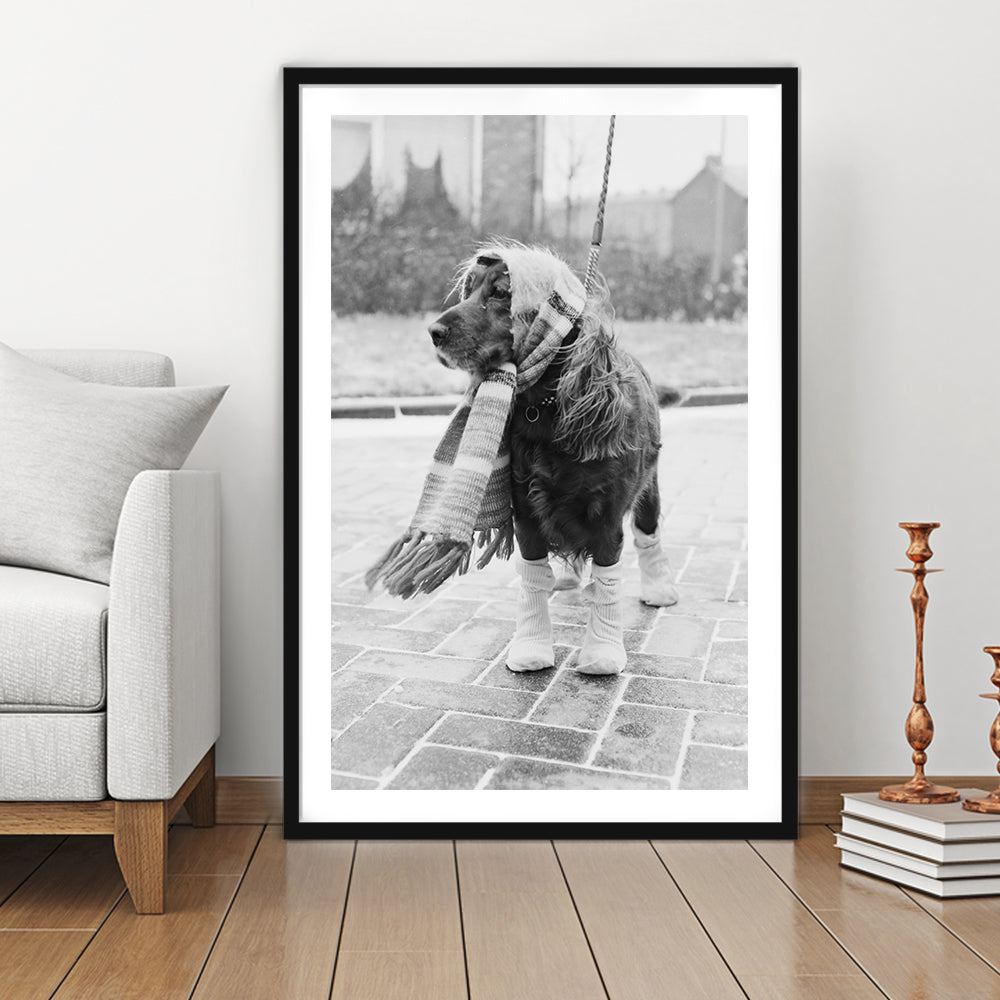 Dog Dressed for Winter Funny Vintage Animal Photo Black and White Art, Framed Art Print White Border Wall Decor