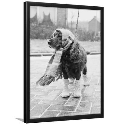 Dog Dressed for Winter Funny Vintage Animal Photo Black and White Art, Framed Art Print Wall Decor