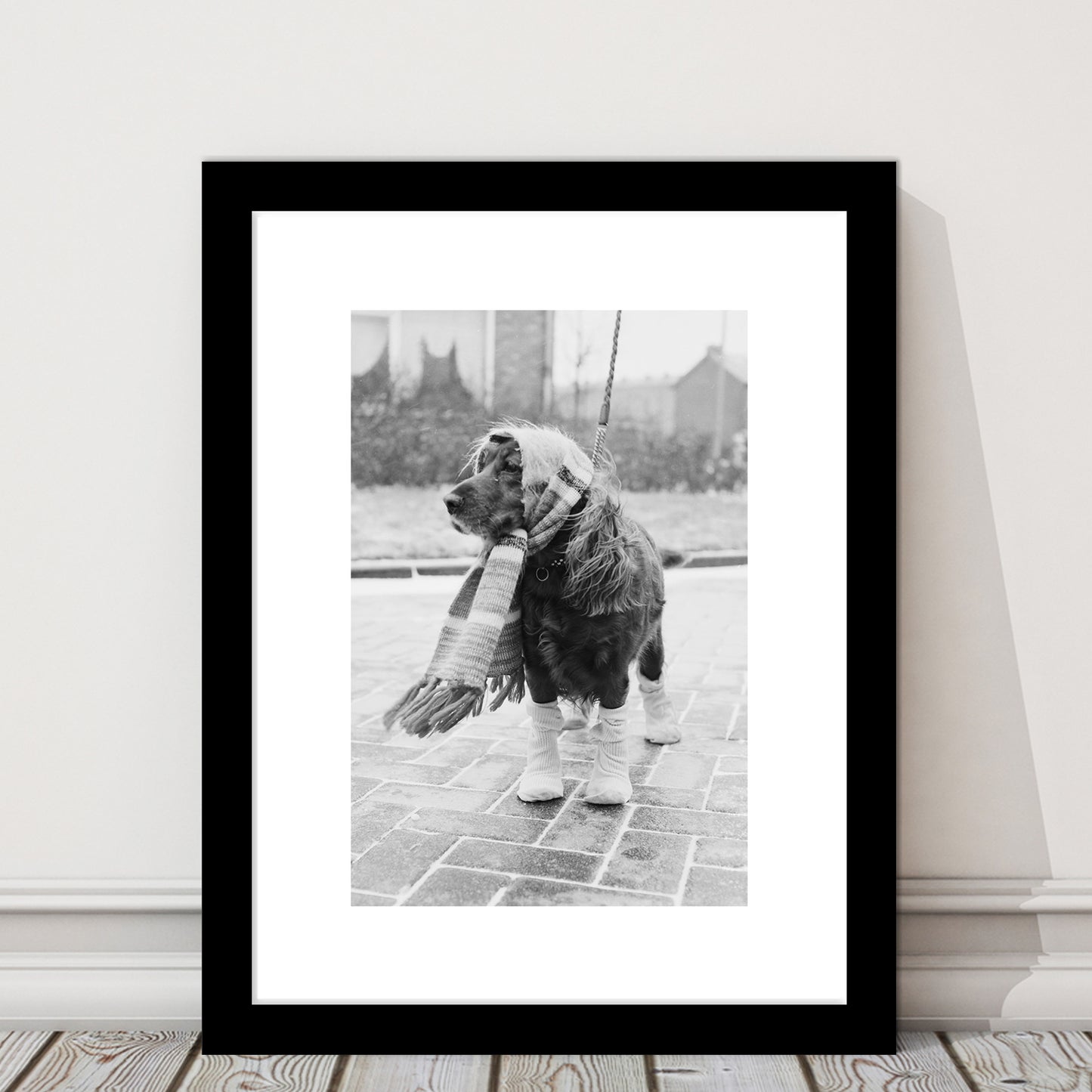 Dog Dressed for Winter Funny Vintage Animal Photo Black and White Art, Framed Art Print White Border Wall Decor