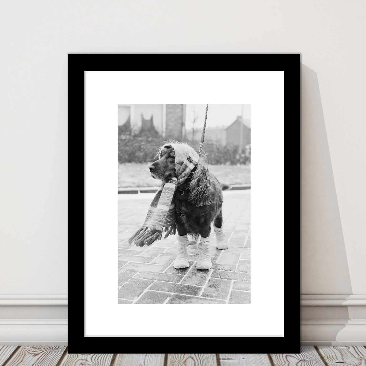 Dog Dressed for Winter Funny Vintage Animal Photo Black and White Art, Framed Art Print White Border Wall Decor