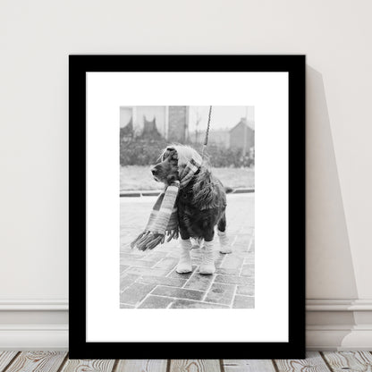Dog Dressed for Winter Funny Vintage Animal Photo Black and White Art, Framed Art Print White Border Wall Decor