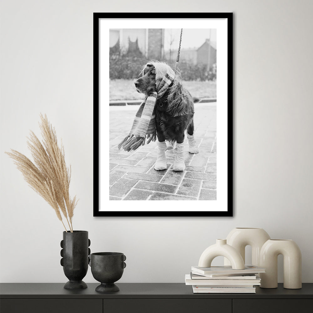 Dog Dressed for Winter Funny Vintage Animal Photo Black and White Art, Framed Art Print White Border Wall Decor