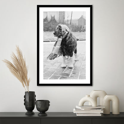 Dog Dressed for Winter Funny Vintage Animal Photo Black and White Art, Framed Art Print White Border Wall Decor