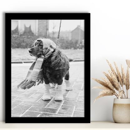 Dog Dressed for Winter Funny Vintage Animal Photo Black and White Art, Framed Art Print Wall Decor