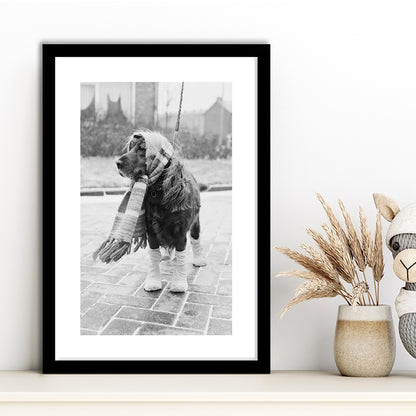 Dog Dressed for Winter Funny Vintage Animal Photo Black and White Art, Framed Art Print White Border Wall Decor