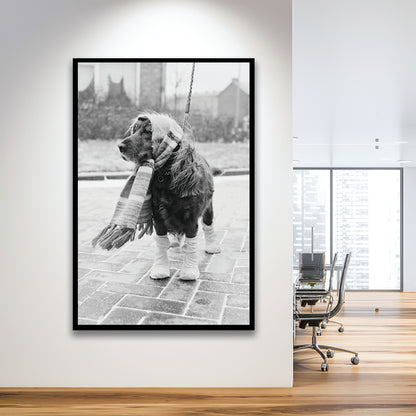 Dog Dressed for Winter Funny Vintage Animal Photo Black and White Art, Framed Art Print Wall Decor