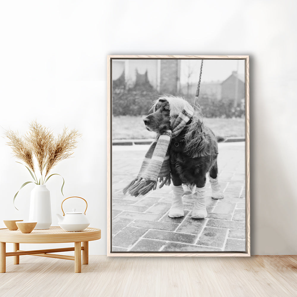 Dog Dressed for Winter Funny Vintage Animal Photo Black and White Art, Floating Framed Canvas Print