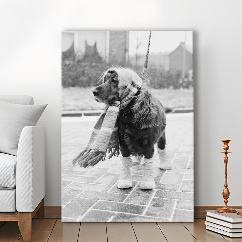 Dog Dressed for Winter Funny Vintage Animal Photo Black and White Art, Canvas Print Wall Art