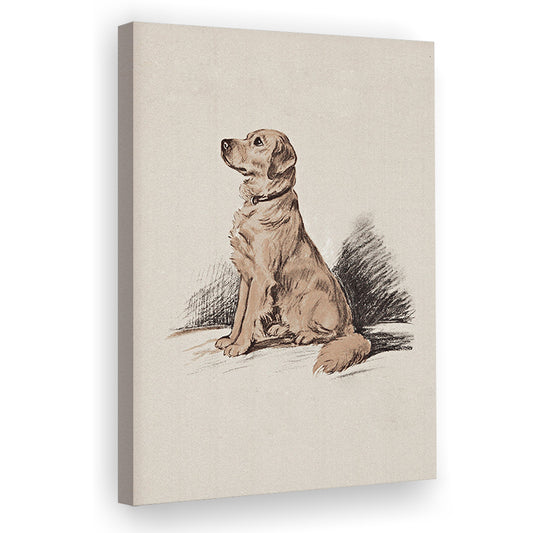 Dog Portrait Vintage Sketch Canvas Print Wall Art, Yellow Labrador Retriever Print Nursery Decor