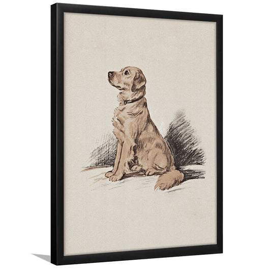 Dog Portrait Vintage Sketch Framed Art Print Wall Decor, Yellow Labrador Retriever Print Nursery Decor