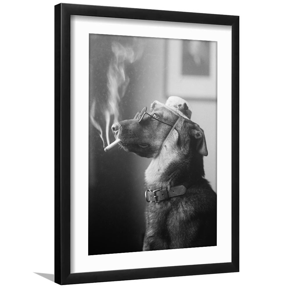 Dog Smoking a Cigarette Funny Vintage Animal Photo Black and White Art, Framed Art Print White Border Wall Decor