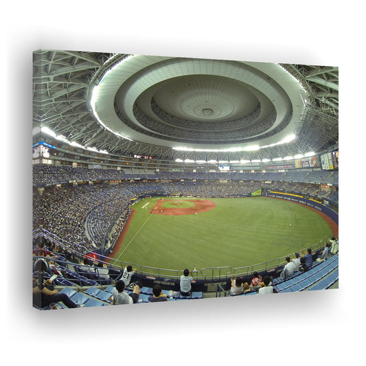 Dome Osaka Outfield, Stadium Canvas, Sport Art, Gift for him, Man Cave Decor, Art Print, Canvas Print Wall Art