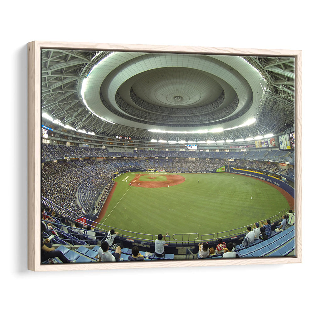 Dome Osaka Outfield, Stadium Canvas, Sport Art, Framed Canvas Print Wall Art, Floating Frame