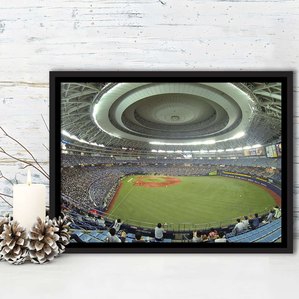 Dome Osaka Outfield, Stadium Canvas, Sport Art, Framed Canvas Print Wall Art, Floating Frame