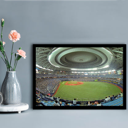 Dome Osaka Outfield, Stadium Canvas, Sport Art, Gift for him, Framed Art Print Wall Decor, Picture Framed