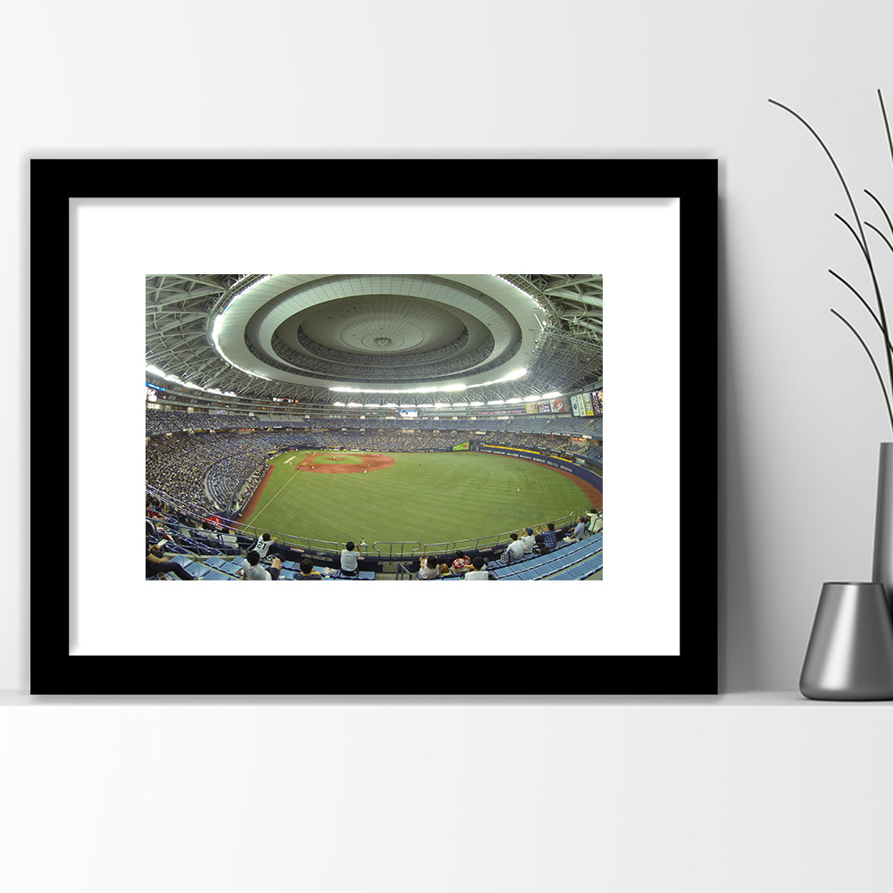 Dome Osaka Outfield, Stadium Canvas, Sport Art, Gift for him, White Border Framed Art Print Wall Decor