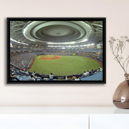 Dome Osaka Outfield, Stadium Canvas, Sport Art, Framed Canvas Print Wall Art, Floating Frame