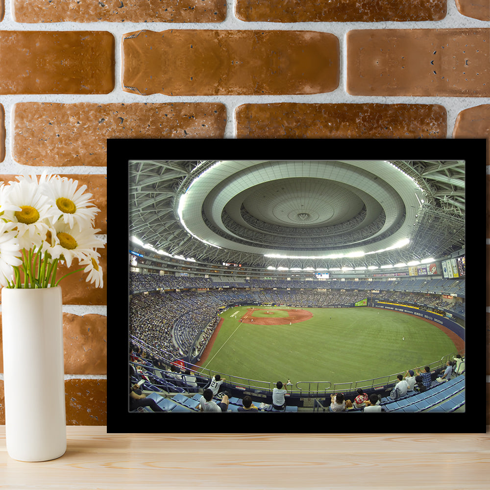 Dome Osaka Outfield, Stadium Canvas, Sport Art, Gift for him, Framed Art Print Wall Decor, Picture Framed